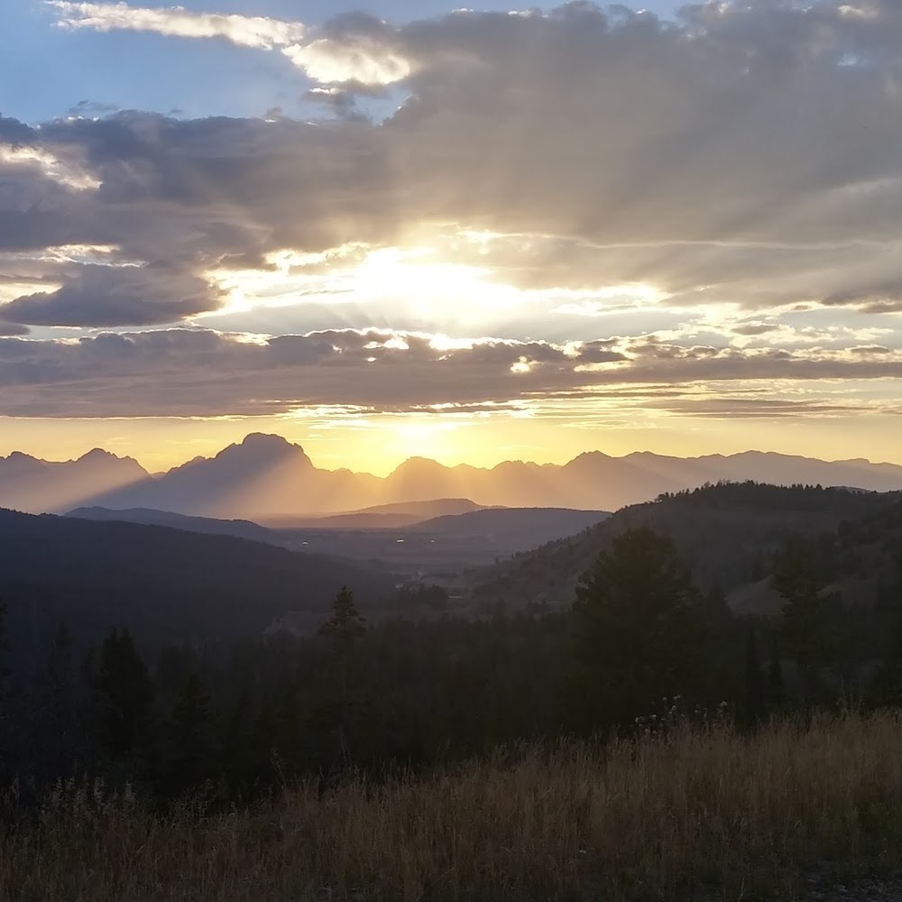 Meet your Posher, Tanzi